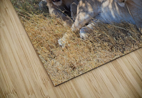 Pride at Rest Chirag Pandya puzzle