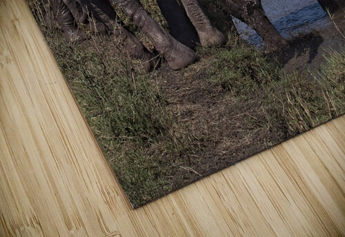 Mud Bath Joy Chirag Pandya puzzle