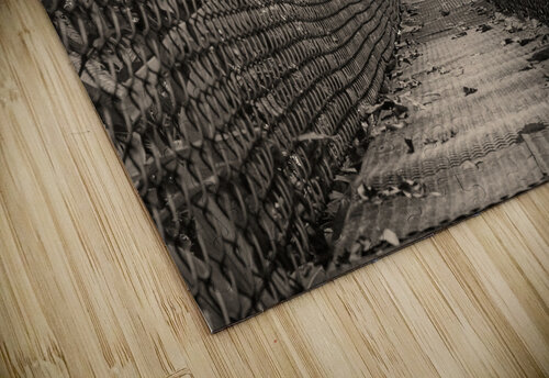 The Path Forward Chirag Pandya puzzle