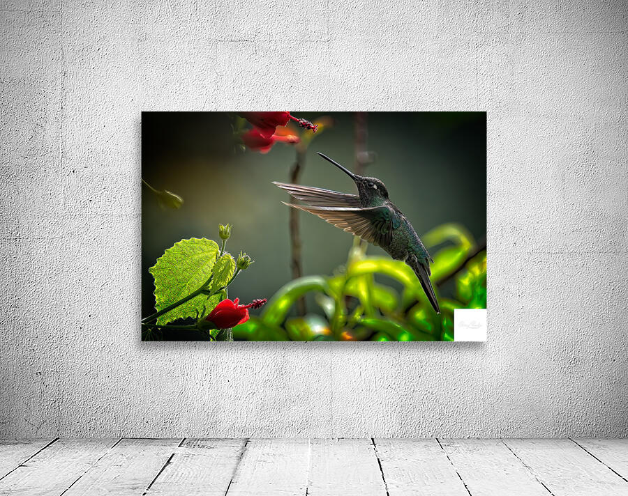 The Nectar Dancer Wall Preview