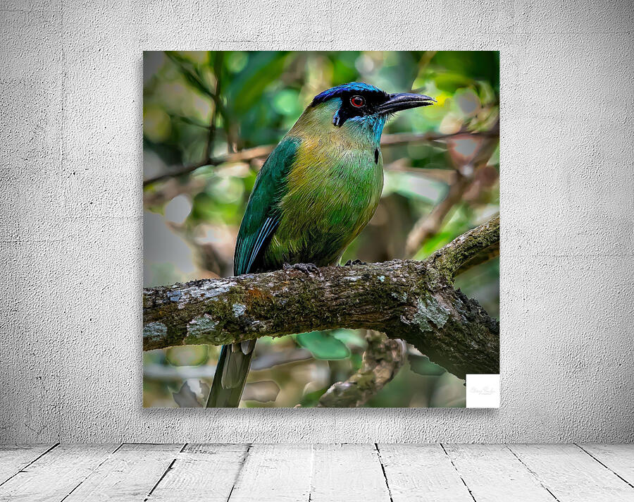 Jungle Jewel Wall Preview