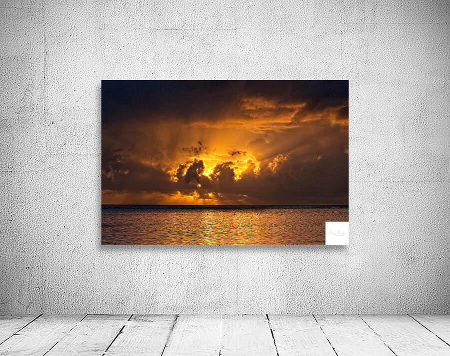 Golden Tempest Wall Preview