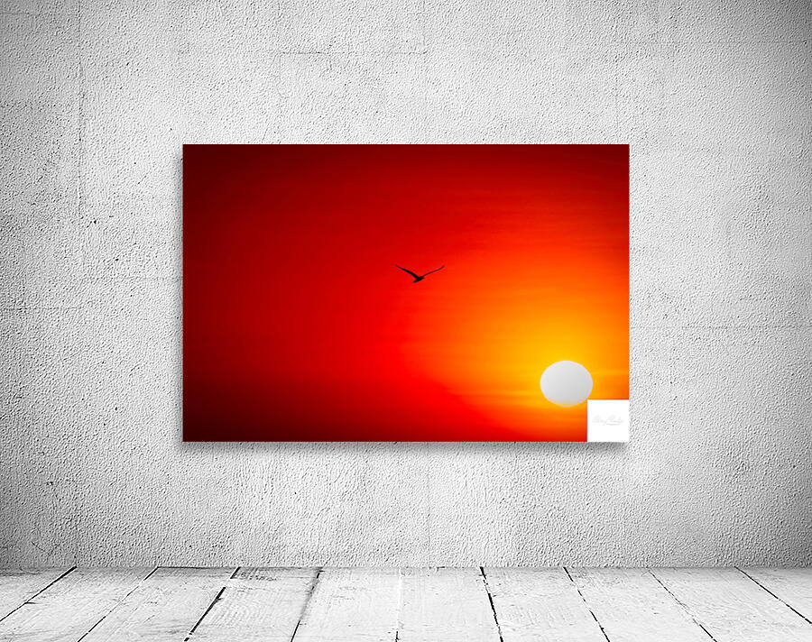 Flight Into the Fire Sky Wall Preview