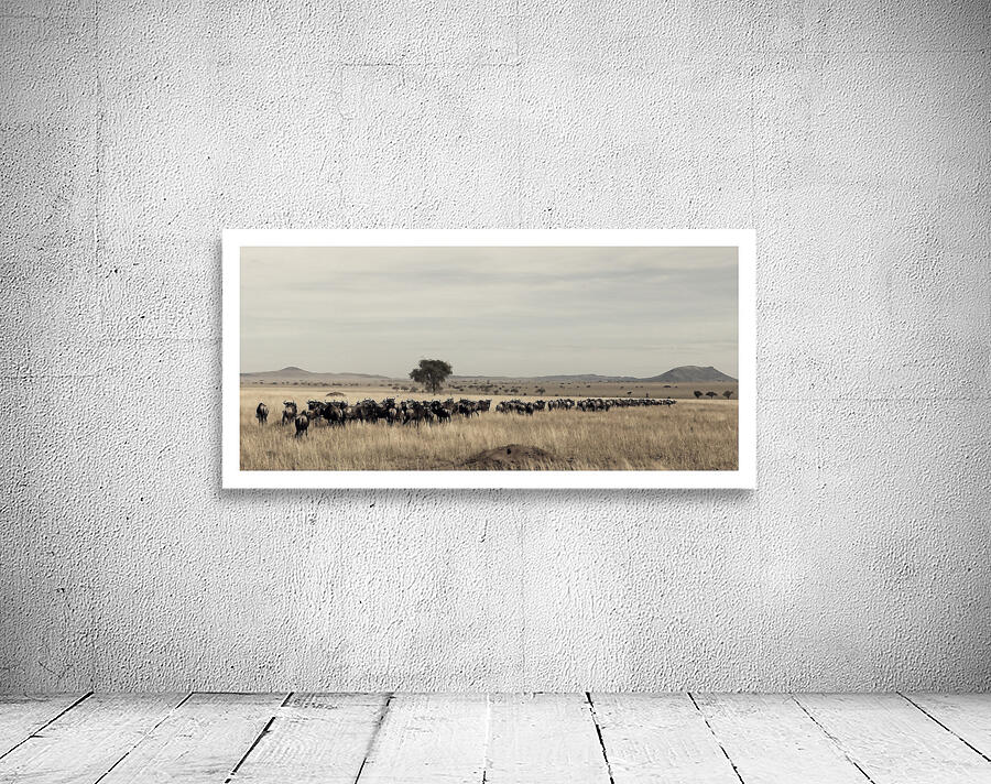 The Long Trek Wall Preview