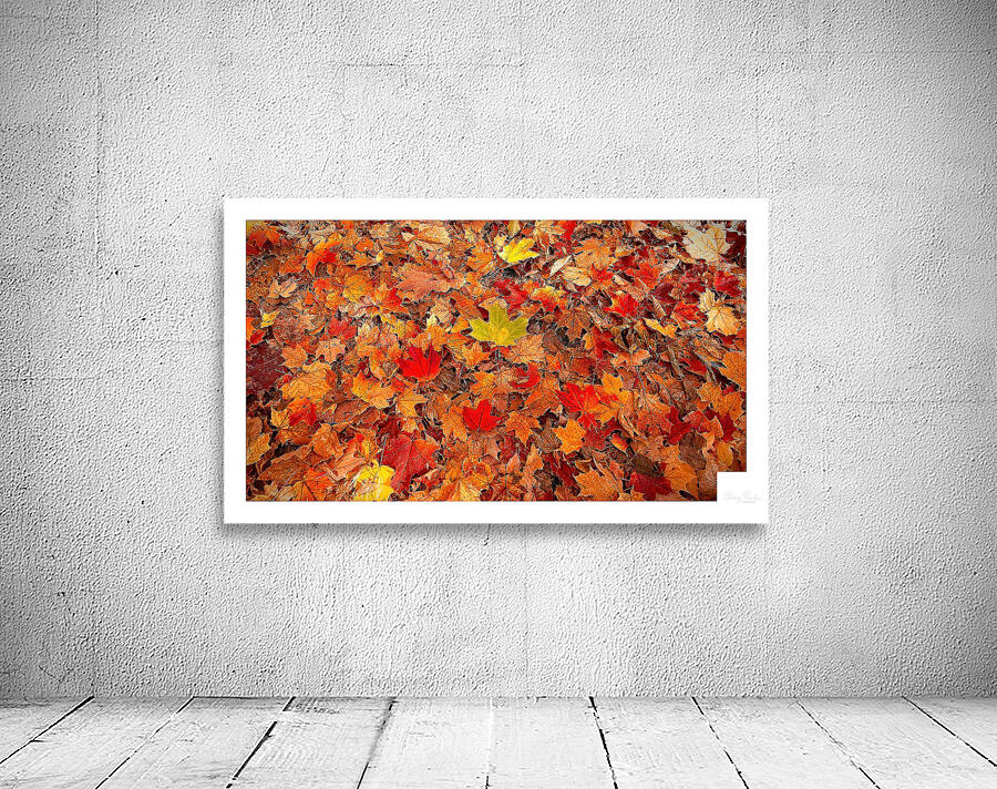 Autumn Carpet Wall Preview