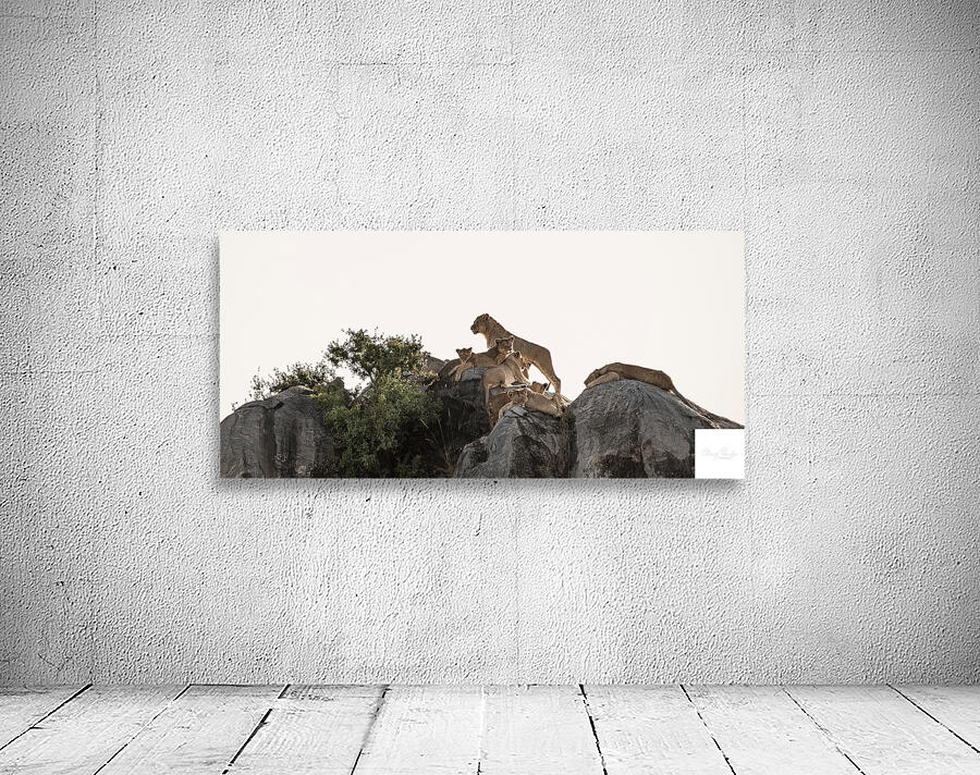 Pride on the Rocks Wall Preview