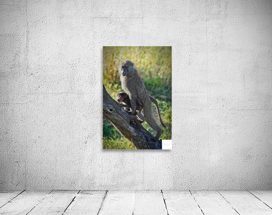 Mother’s Hold Wall Preview