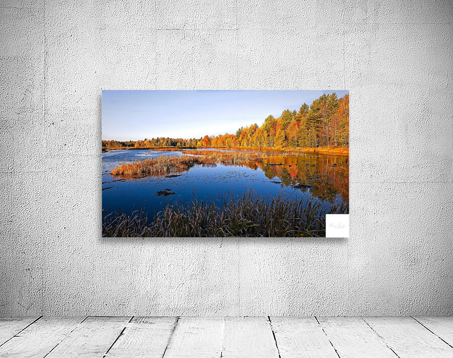 Autumn Reflections Wall Preview