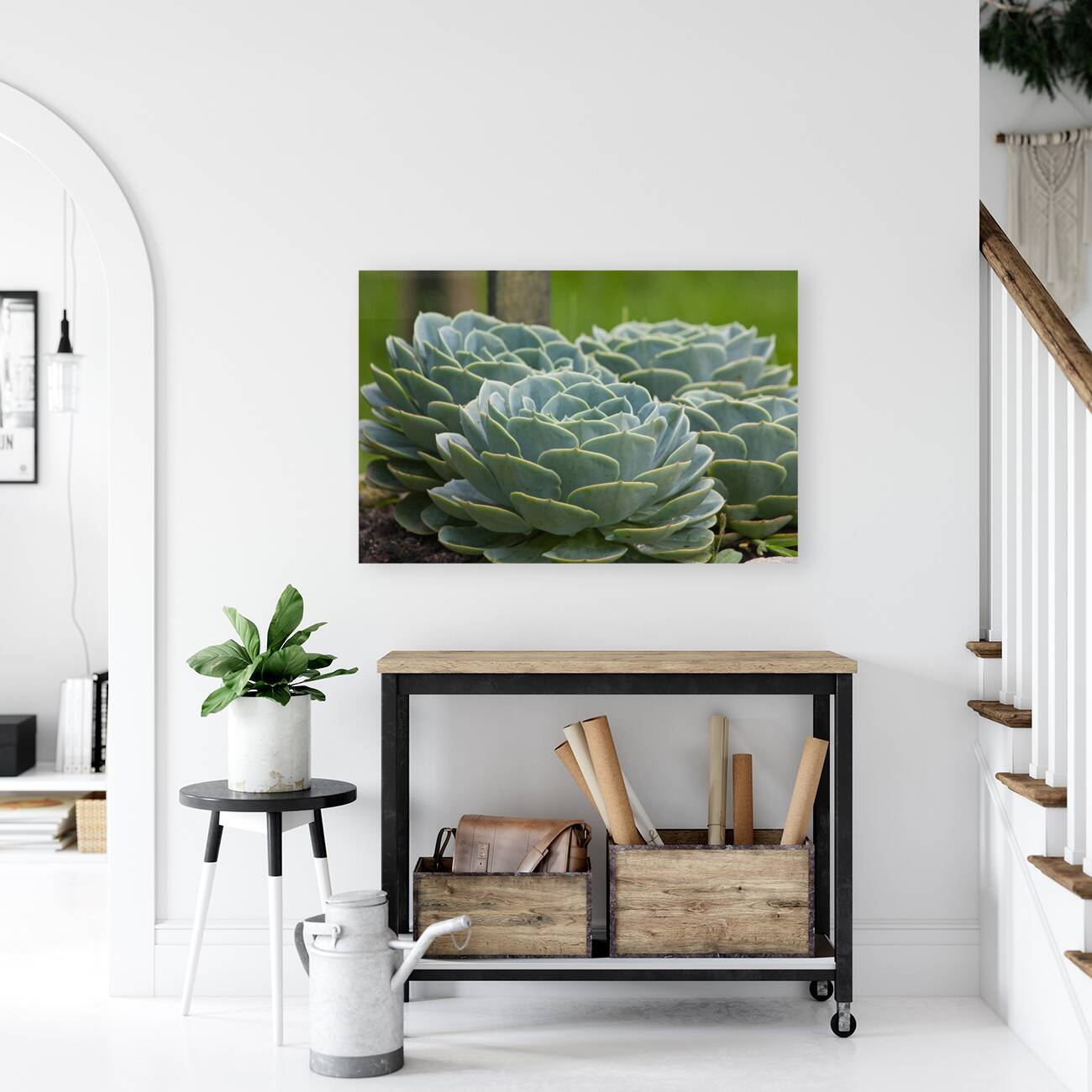 Succulent Rosettes Reproduction