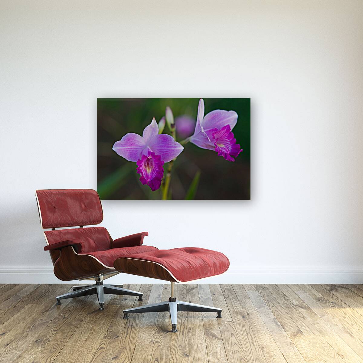Purple Orchid Pair Reproduction