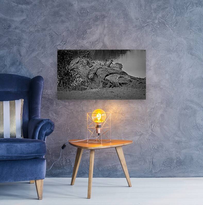 Nature’s Driftwood Sculpture Reproduction