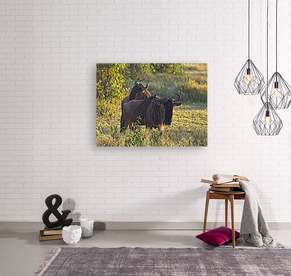 Wildebeest Pair Reproduction