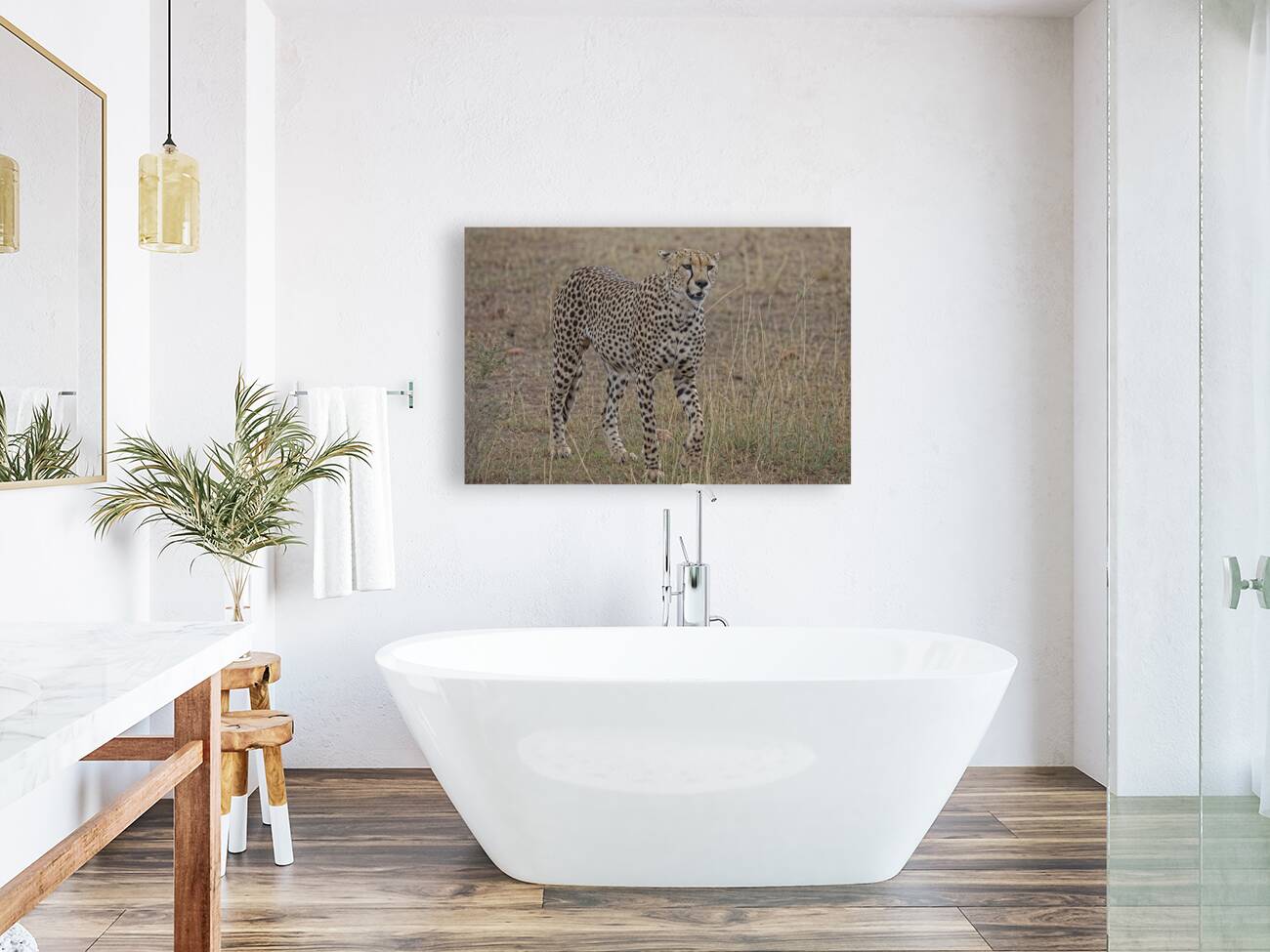 Cheetah on Patrol Reproduction