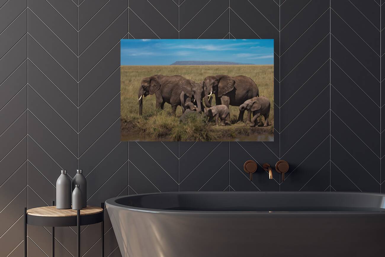 Elephant Family Gathering Reproduction