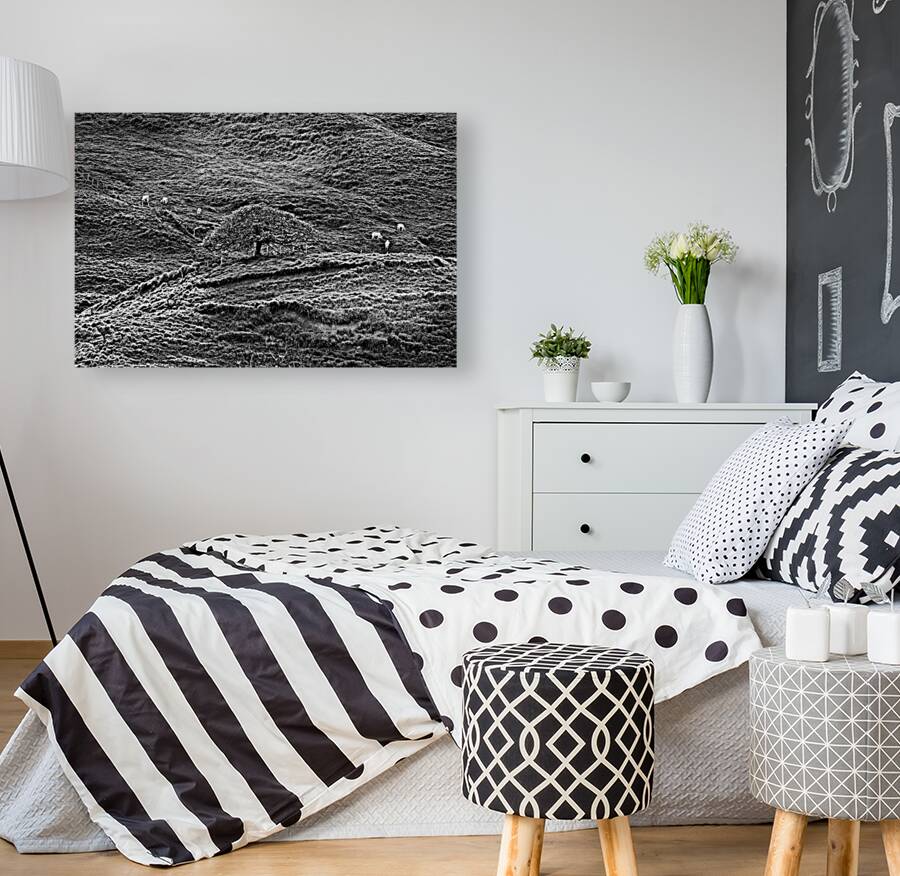 Hills of Time Reproduction