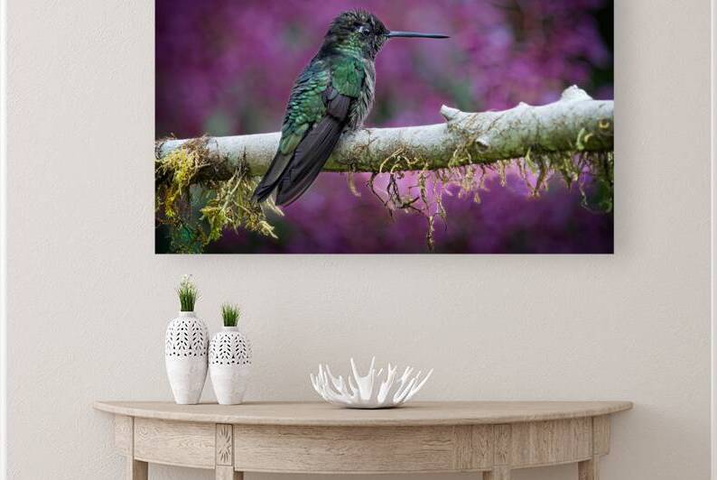 Quiet Jewel by Chirag Pandya