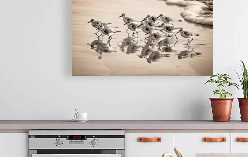 Gentle Pursuit by Chirag Pandya