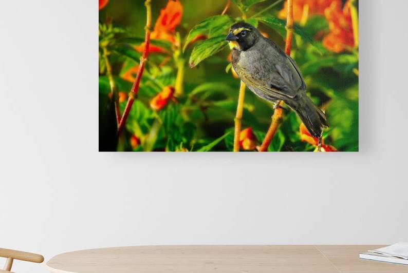 Sunlit Garden Glow by Chirag Pandya