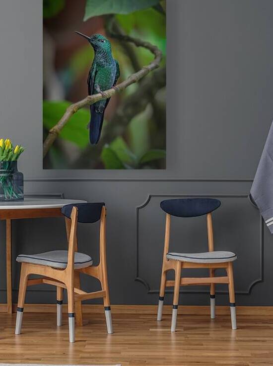 Emerald Perch by Chirag Pandya