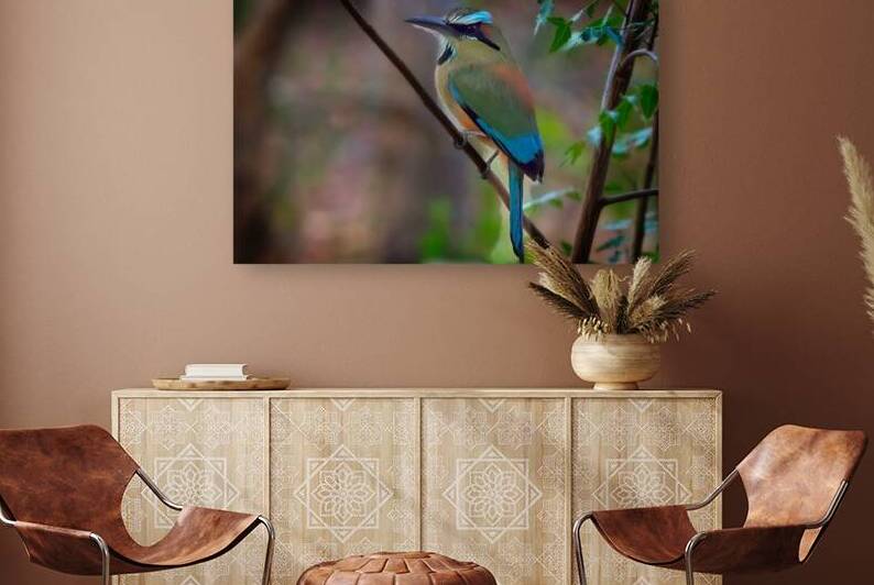 Tropical Daydream by Chirag Pandya