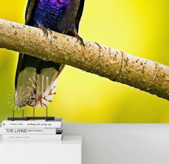 Violet Majesty by Chirag Pandya