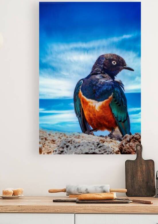 Skyfire Starling by Chirag Pandya