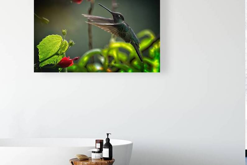 The Nectar Dancer by Chirag Pandya