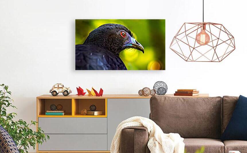 Midnight Gaze by Chirag Pandya