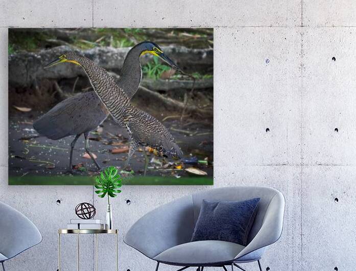 The Twin Dancers by Chirag Pandya