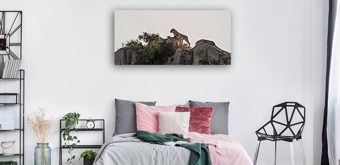 Pride on the Rocks by Chirag Pandya