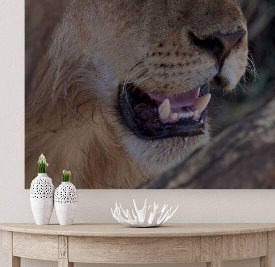 Close Look by Chirag Pandya