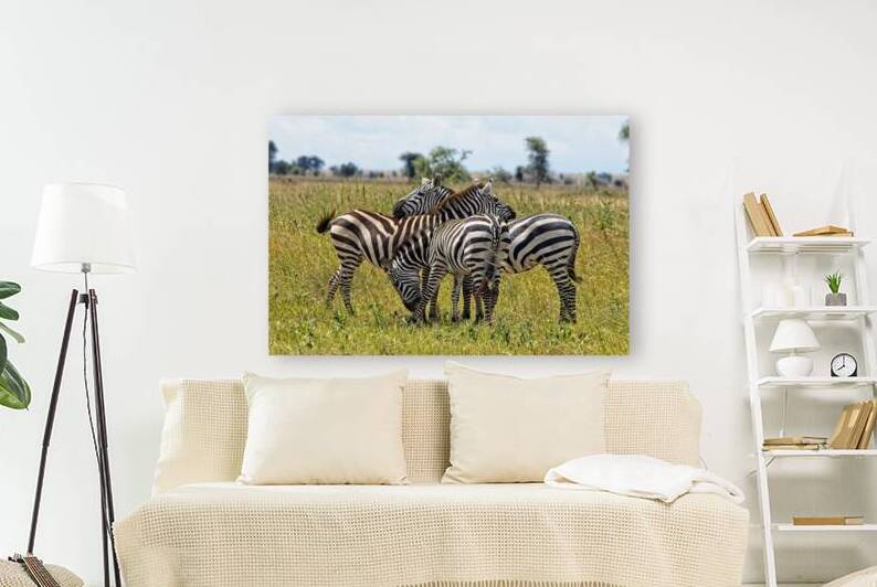 Striped Harmony by Chirag Pandya