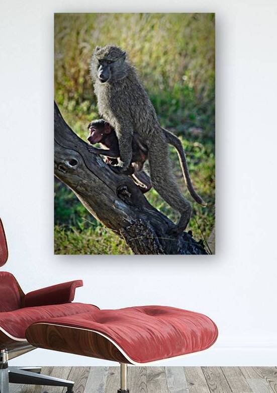 Mother’s Hold by Chirag Pandya