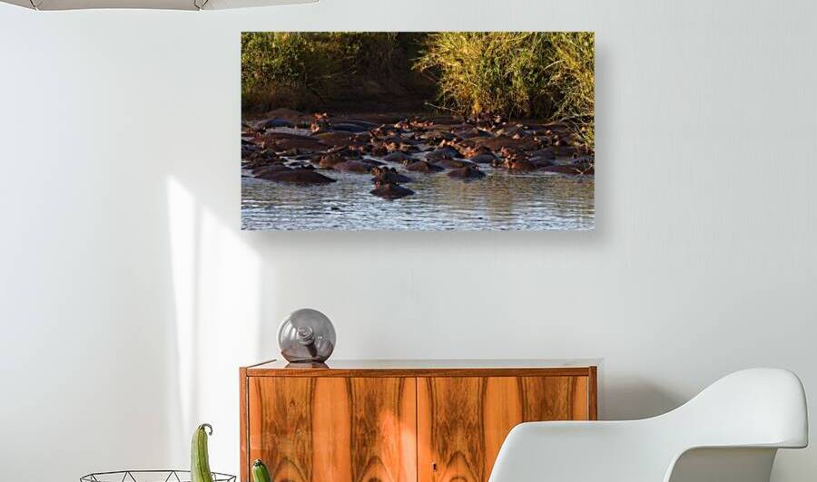 The Hippo Crowd by Chirag Pandya