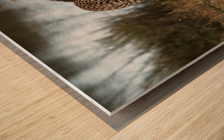 Cheetah by the Water Wood print