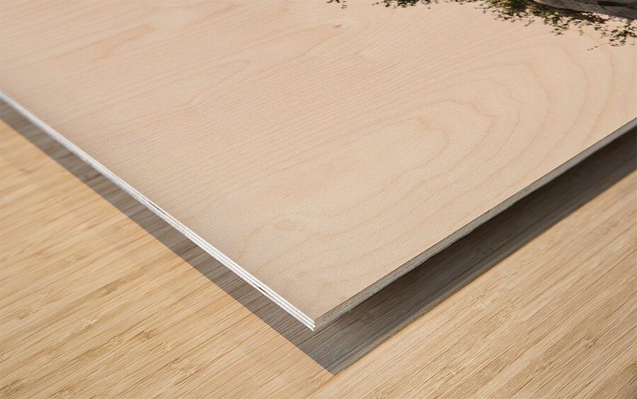 Pride on the Rocks Wood print