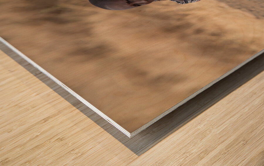 Masai Vendor Wood print